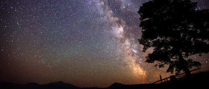 slider_image-700x300